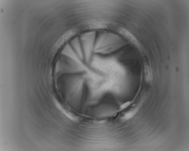 X0000076040490200610152116