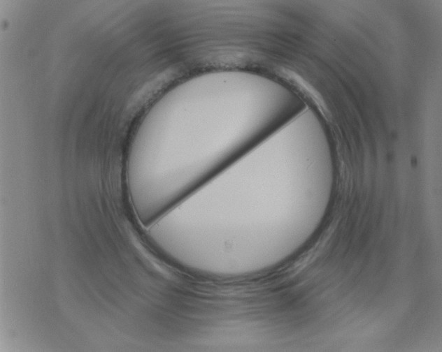 X0000076040493200610152116