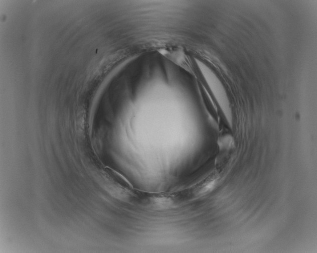 X0000076040509200610152116