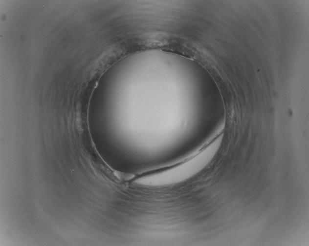 X0000076040512200610152115