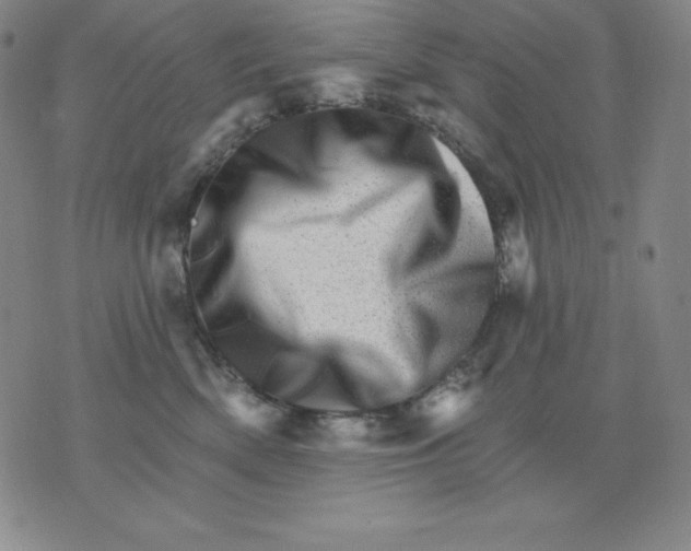 X0000076040522200610152115