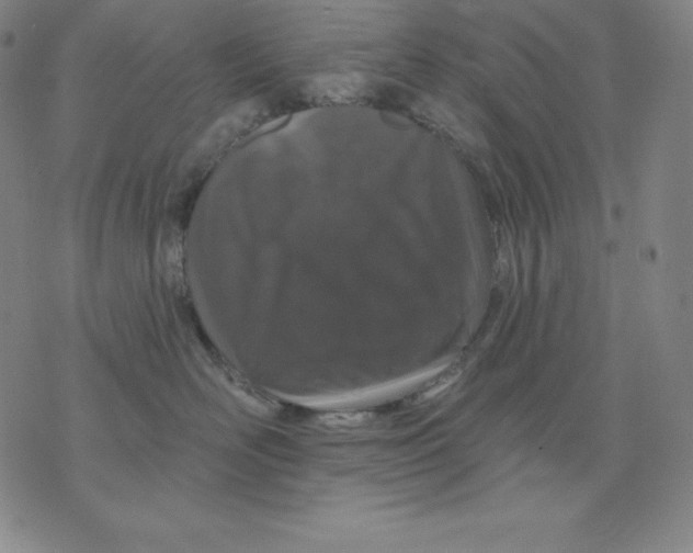 X0000076040526200610152115