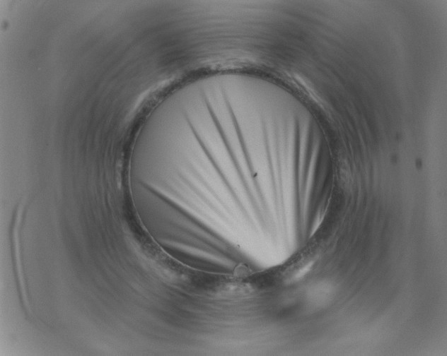 X0000076040543200610152115