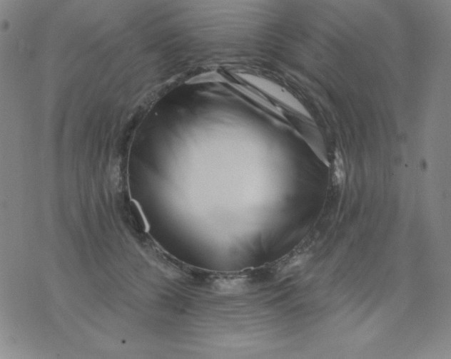 X0000076040560200610152115