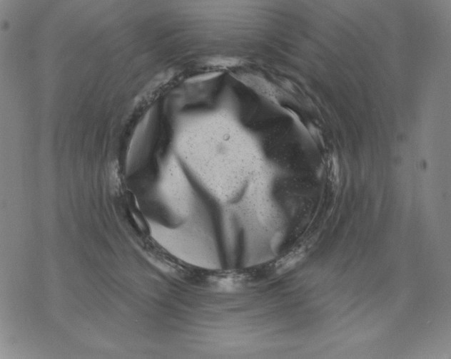 X0000076040564200610152115
