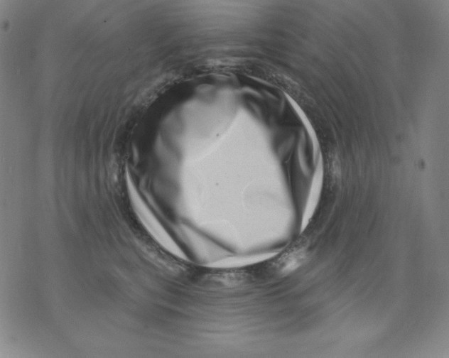 X0000076040567200610152115