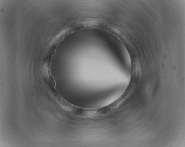 X0000076040575200610152115