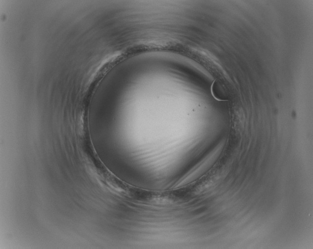 X0000076040596200610152114