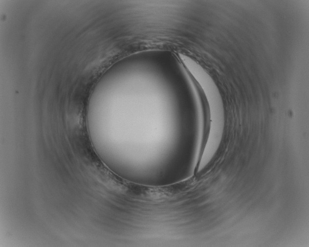 X0000076040608200610152114