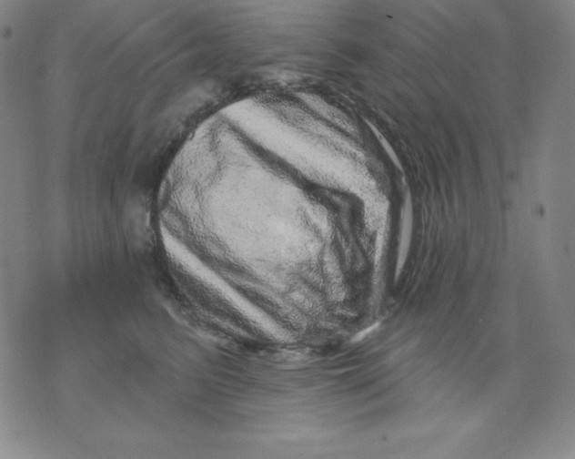 X0000076040615200610152114