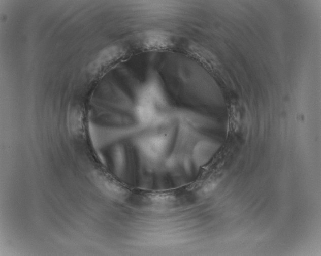 X0000076040619200610152114