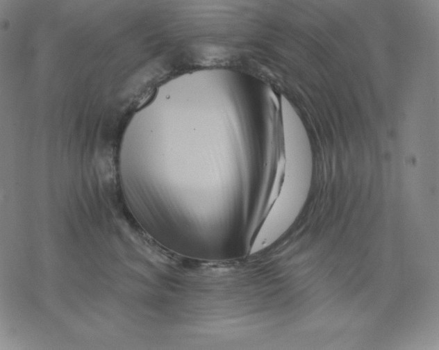 X0000076040620200610152114