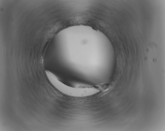 X0000076040624200610152114