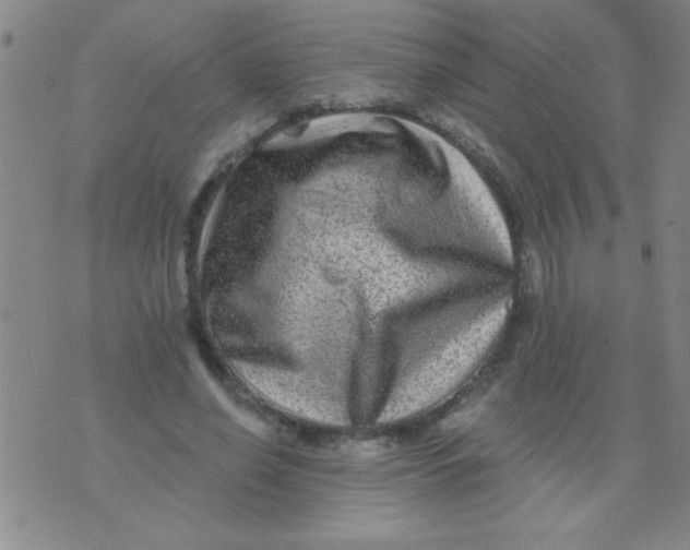 X0000076040638200610152113