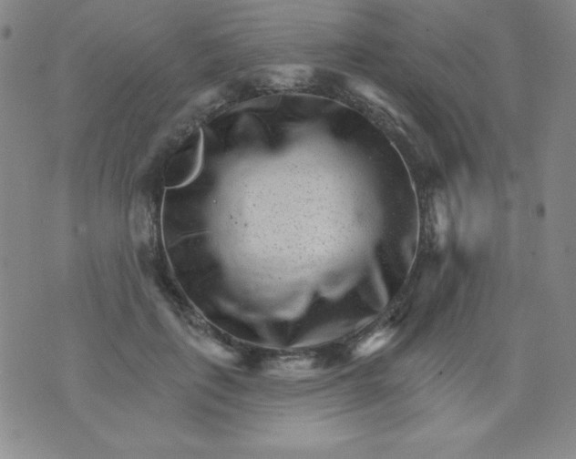 X0000076040651200610152113