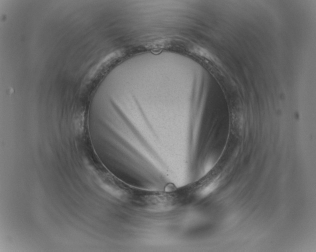 X0000076040652200610152113
