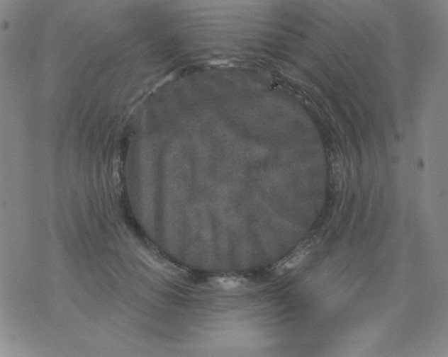 X0000076040654200610152113