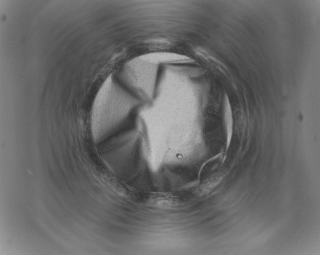 X0000076040655200610152113