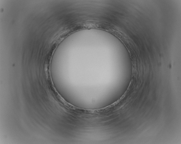 X0000076040696200610152113