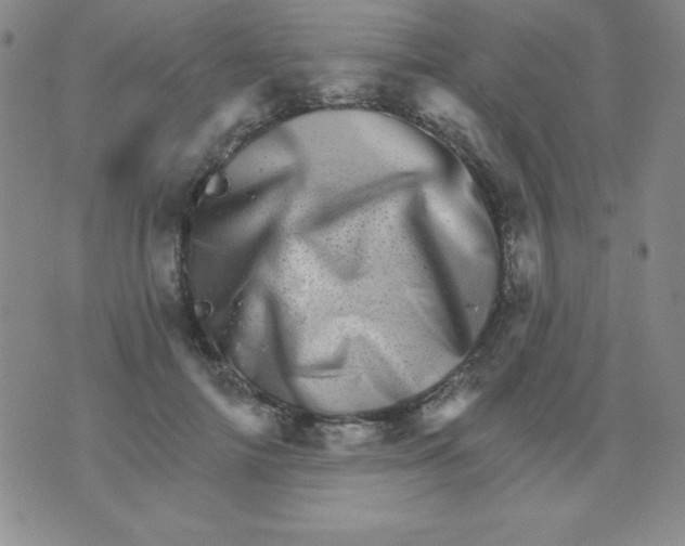 X0000076040698200610152112
