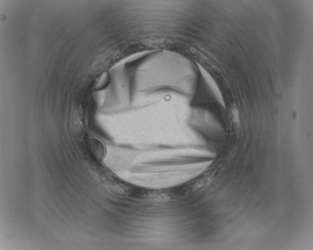 X0000076040702200610152112