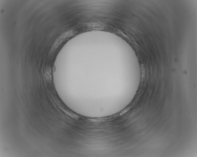 X0000076040713200610152112