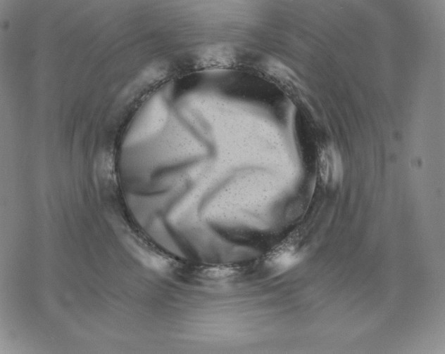 X0000076040714200610152112