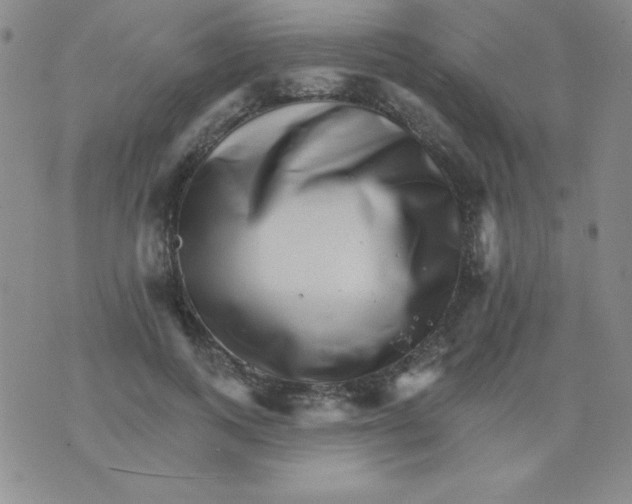 X0000076040743200610152112