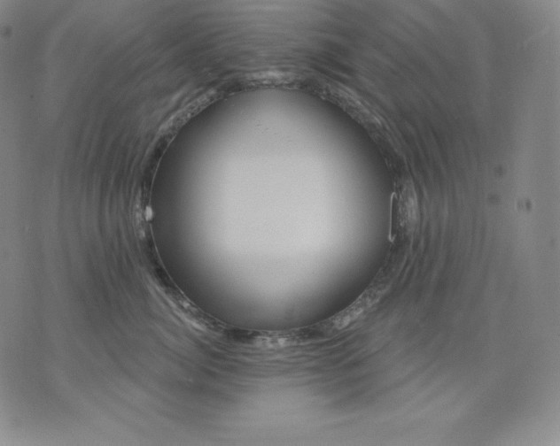 X0000076040764200610152112