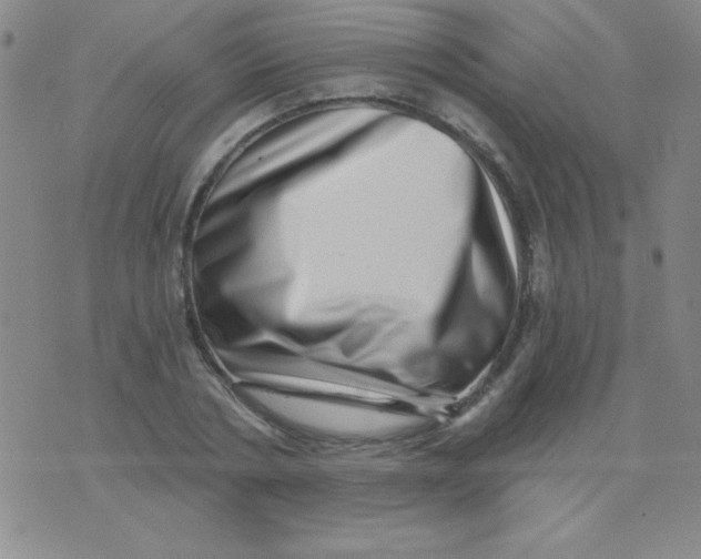 X0000076040786200610152111