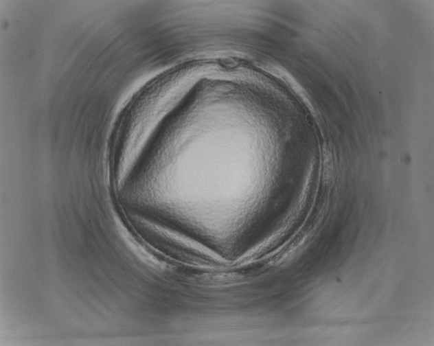 X0000076040795200610152111