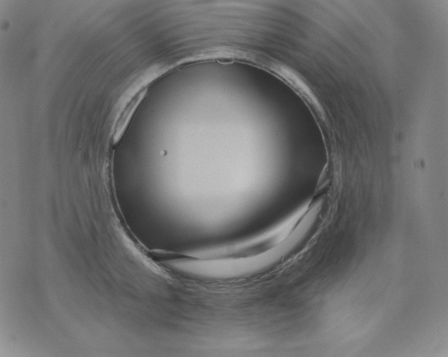X0000076040805200610152111