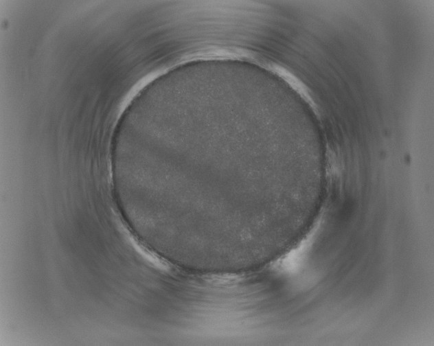 X0000076040837200610152110