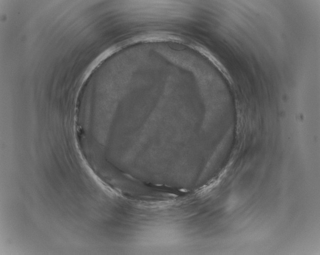 X0000076040853200610152110