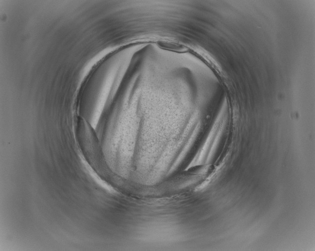 X0000076040854200610152110