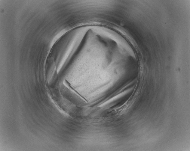 X0000076040858200610152110