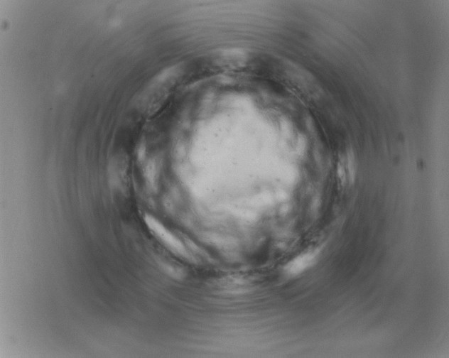 X0000076040867200610152110