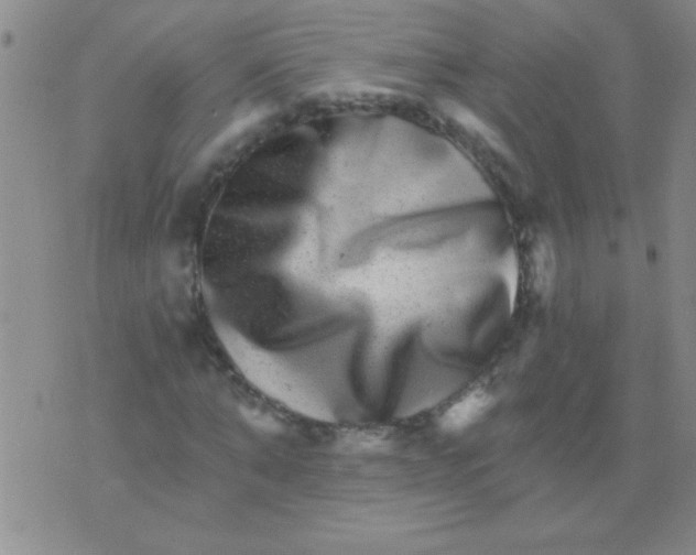 X0000076040870200610152110