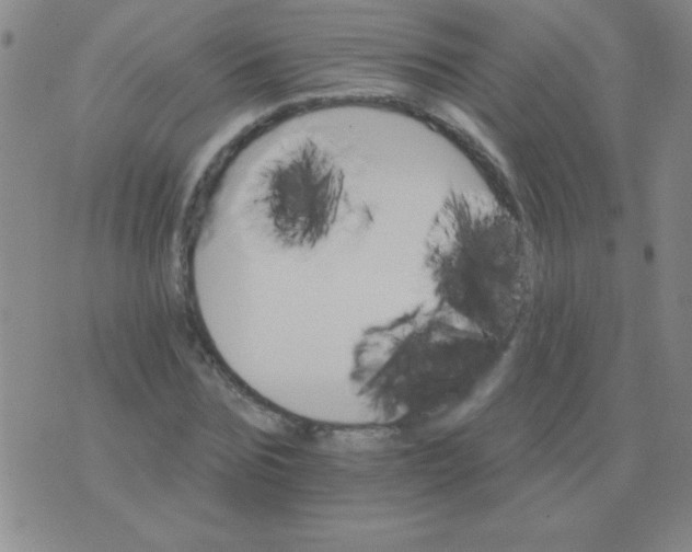 X0000076040875200610152110