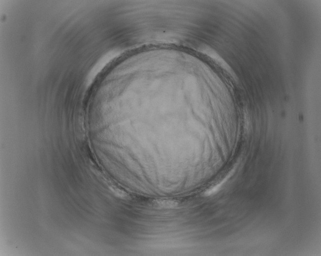 X0000076040878200610152110