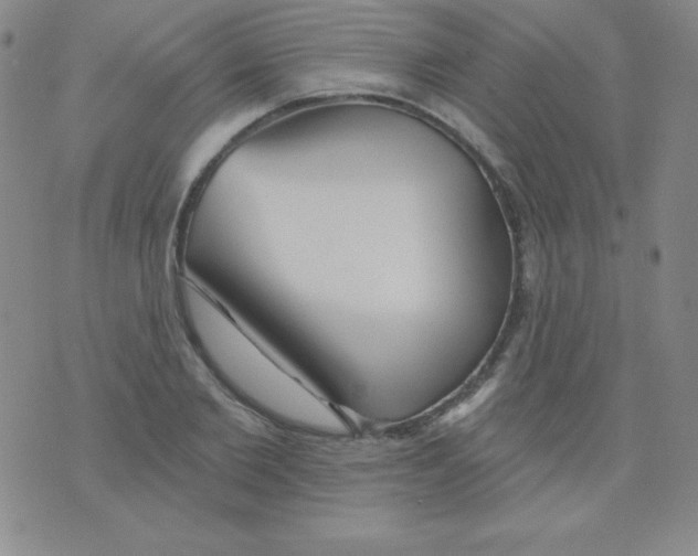 X0000076040885200610152109
