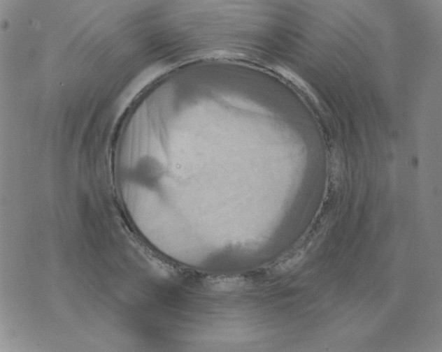 X0000076040886200610152109
