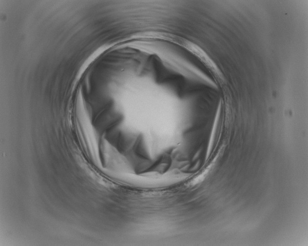 X0000076040908200610152109