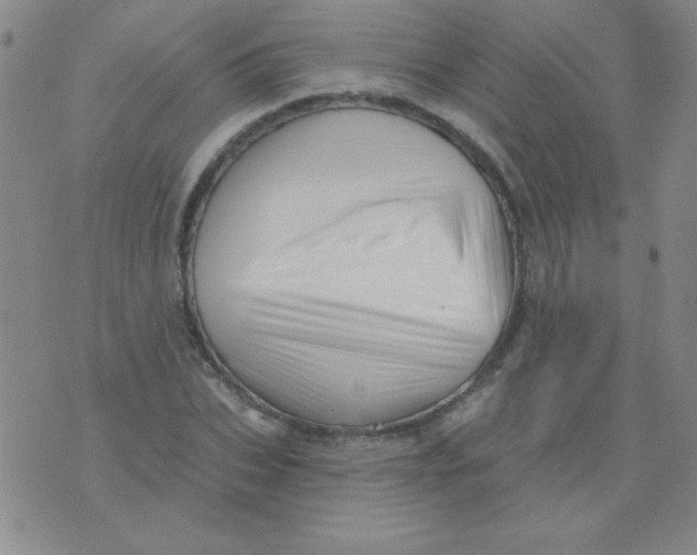X0000076040927200610152108