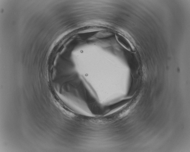 X0000076040931200610152109