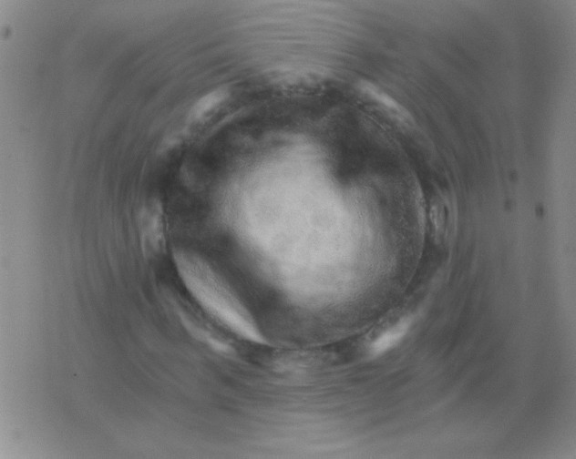 X0000076040963200610152108