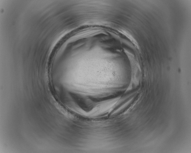 X0000076040976200610152108
