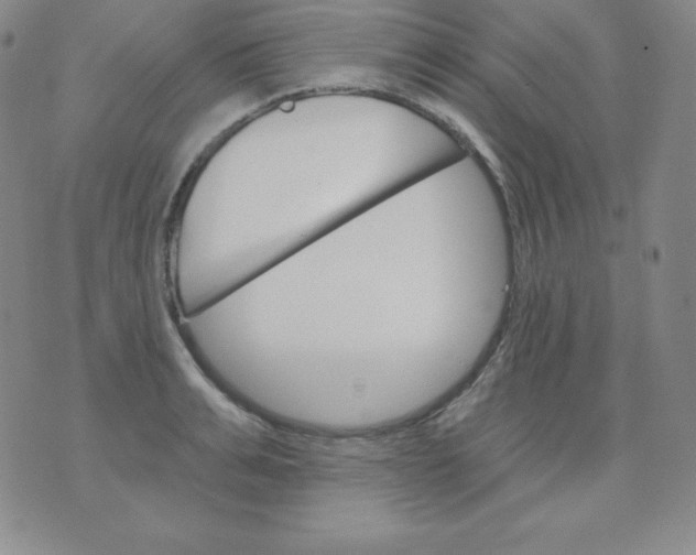 X0000076040991200610152108