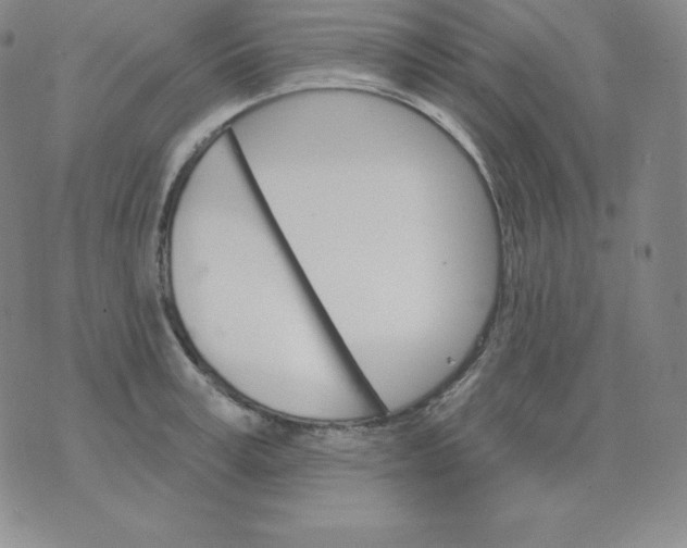 X0000076040995200610152108