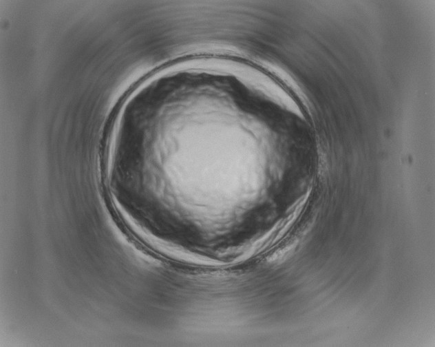 X0000076040999200610152108